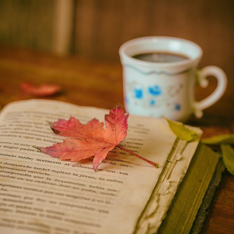 leaves, coffee cup, coffee-1076307.jpg